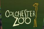 Colchester Zoo promo code 