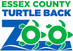 Kode promo Turtle Back Zoo 