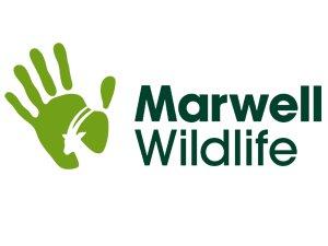 Marwell Wildlife промокод 
