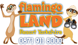 Flamingo Land code promo 