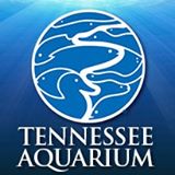 Tennessee Aquarium code promo 