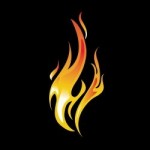 The Fire Store promo code 