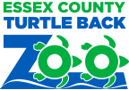 Turtle Back Zoo code promo 